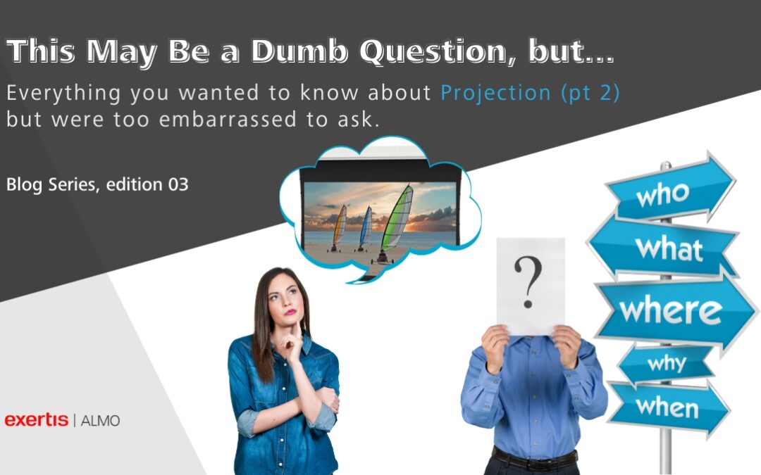 No Dumb Qs Blog ed 03